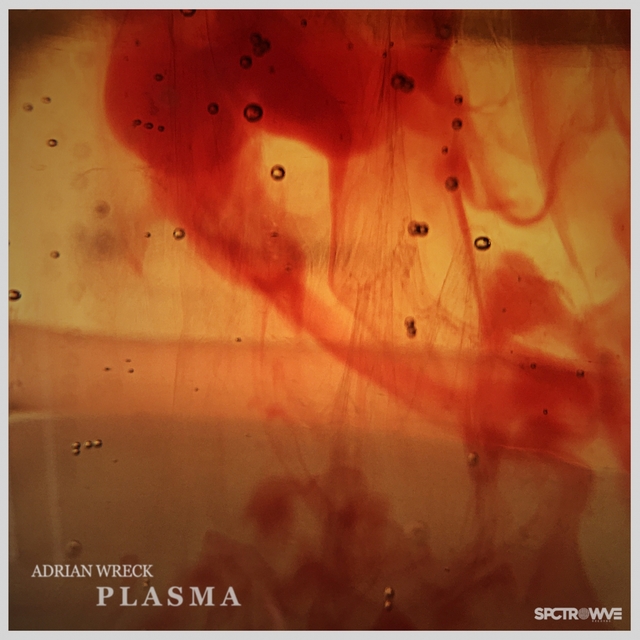 Couverture de Plasma