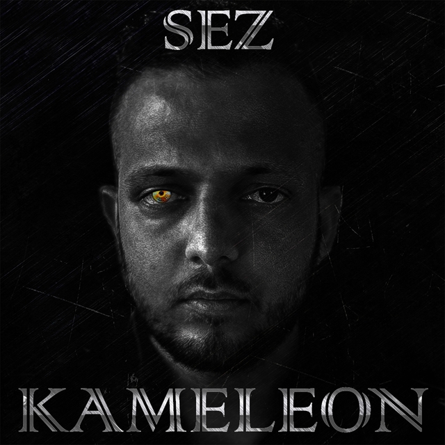 Couverture de Kameleon