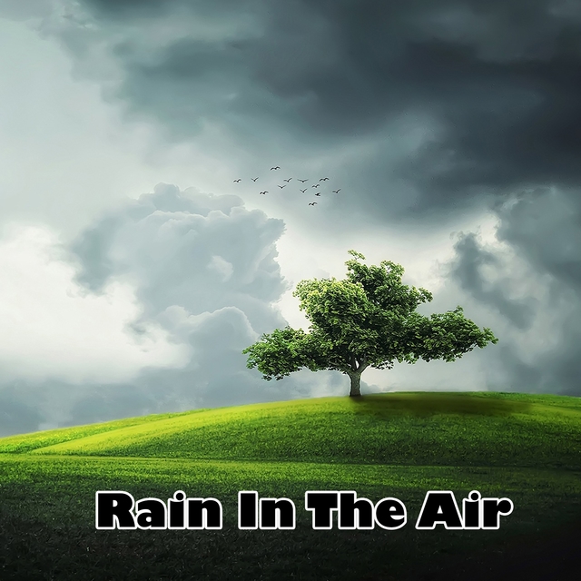 Couverture de Rain In The Air