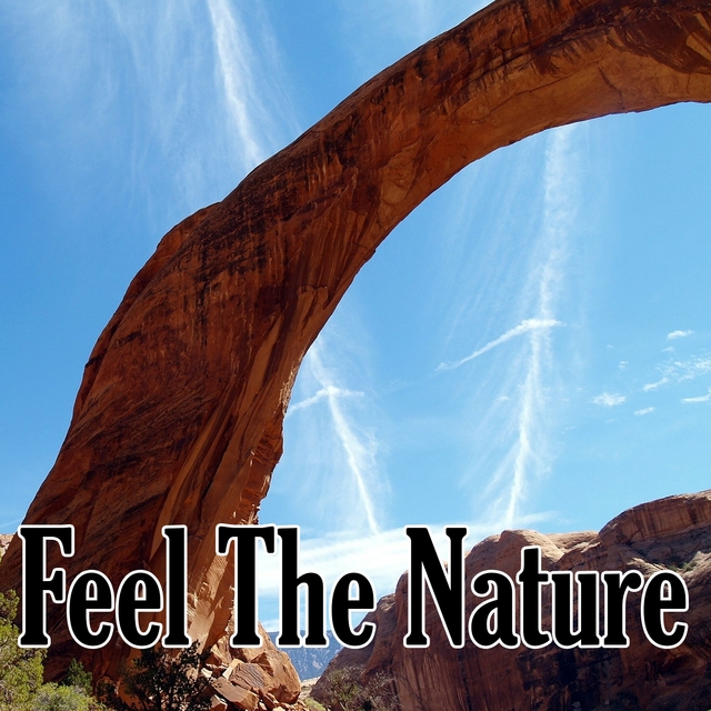 Couverture de Feel The Nature