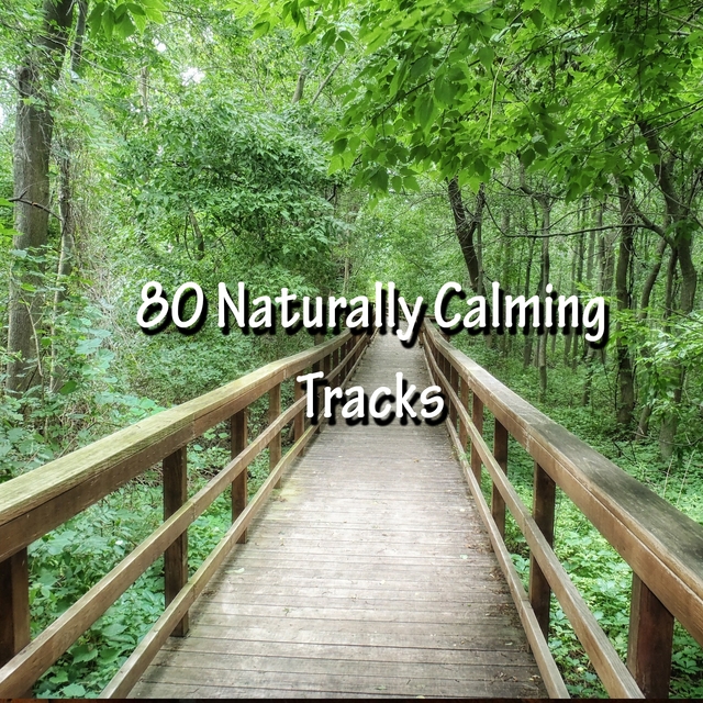 Couverture de 80 Naturally Calming Tracks
