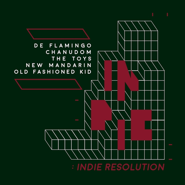 Couverture de INDIE RESOLUTION