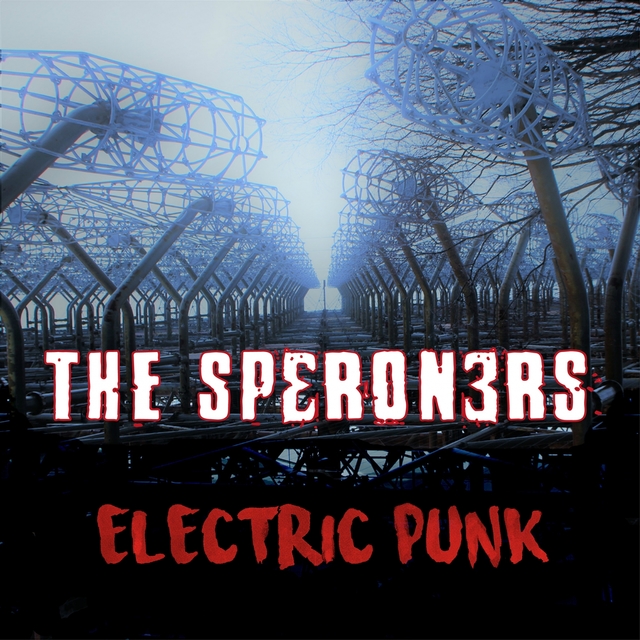 Couverture de Electric Punk