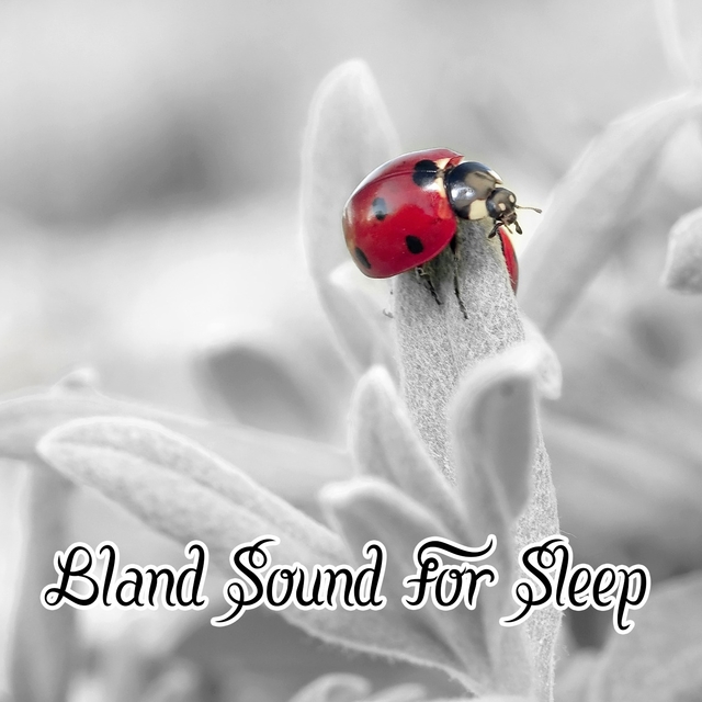 Couverture de Bland Sound For Sleep