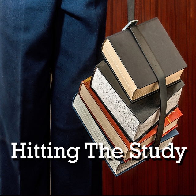 Couverture de Hitting The Study