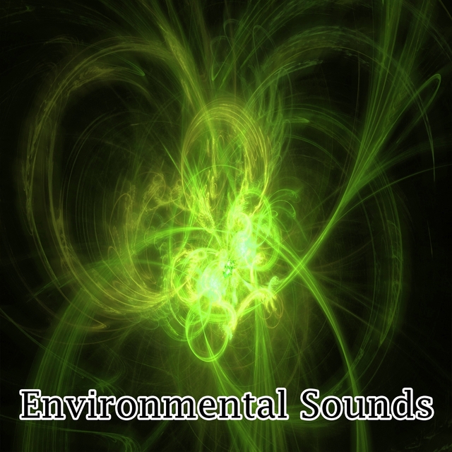 Couverture de Environmental Sounds