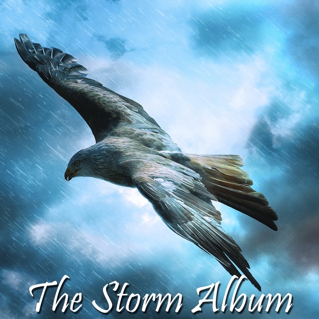 Couverture de The Storm Album