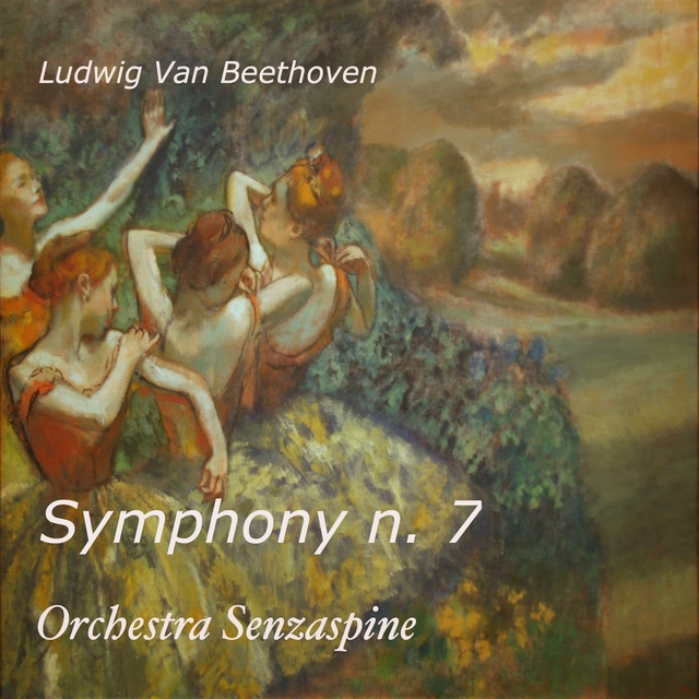 Couverture de Symphony n 7