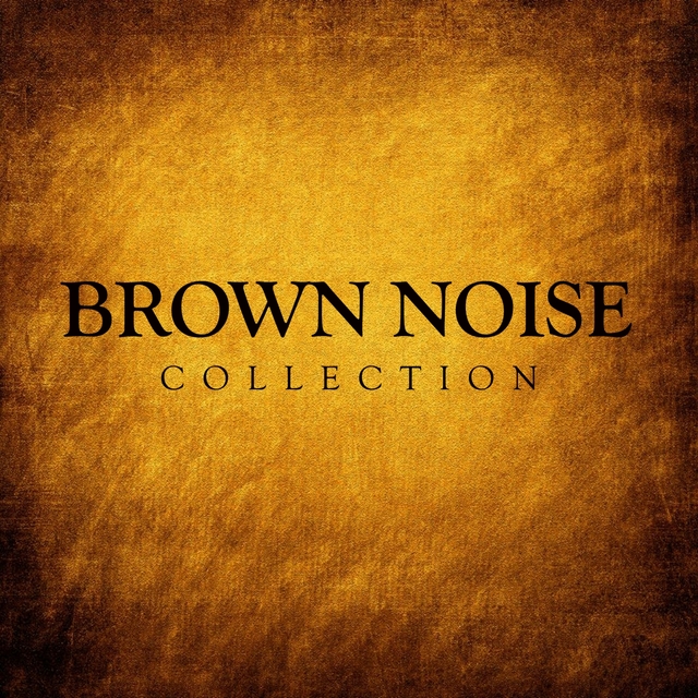 Couverture de Brown Noise