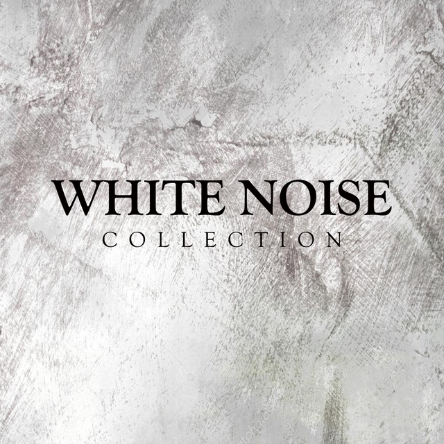 Couverture de White Noise