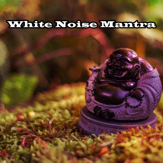 Couverture de White Noise Mantra