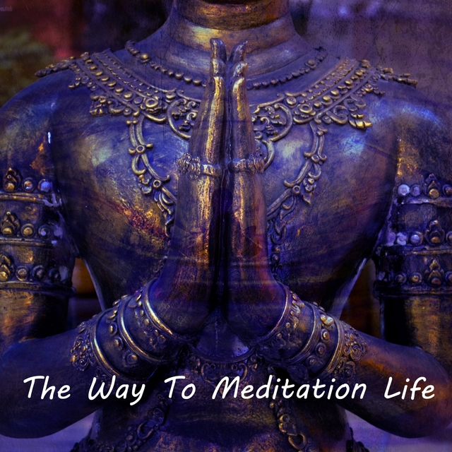 Couverture de The Way To Meditation Life