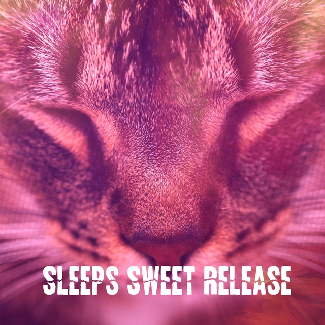 Couverture de Sleeps Sweet Release