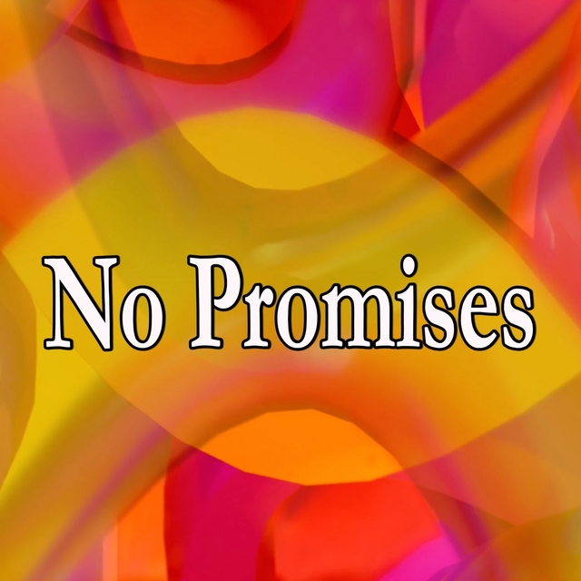 No Promises (Homage to Cheat Codes)