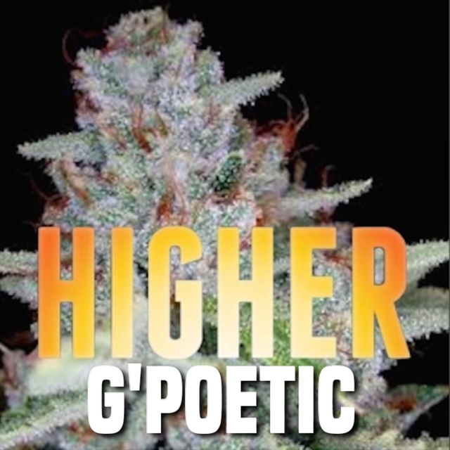 Couverture de Higher