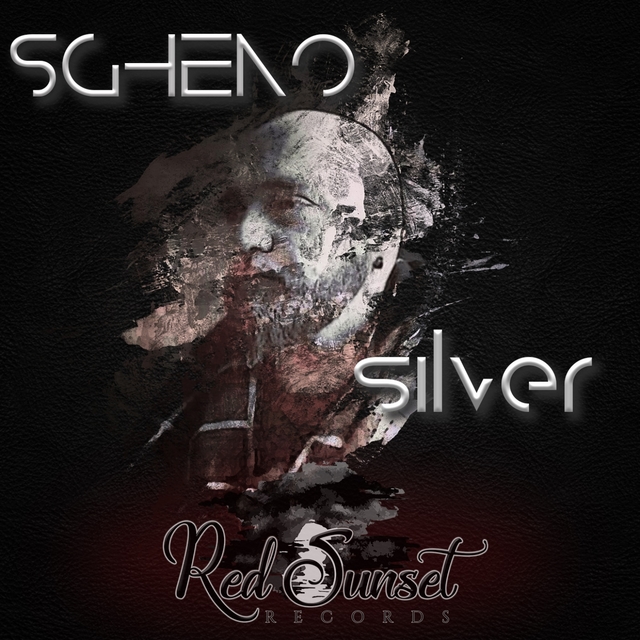 Couverture de Silver