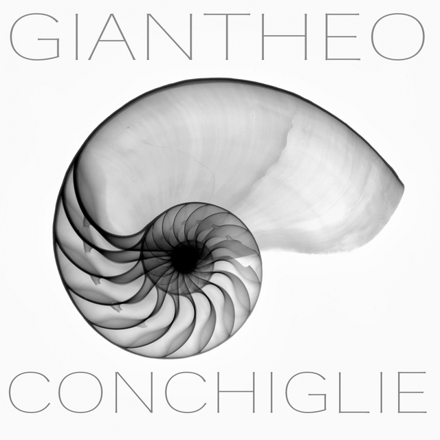 Conchiglie