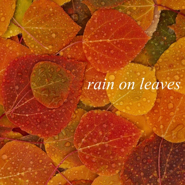 Couverture de Rain on Leaves