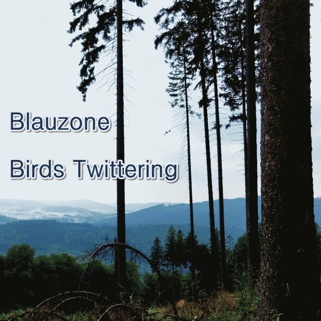 Couverture de Birds Twittering