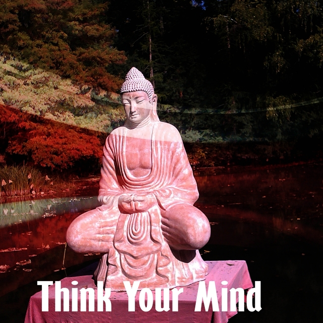 Couverture de Think Your Mind