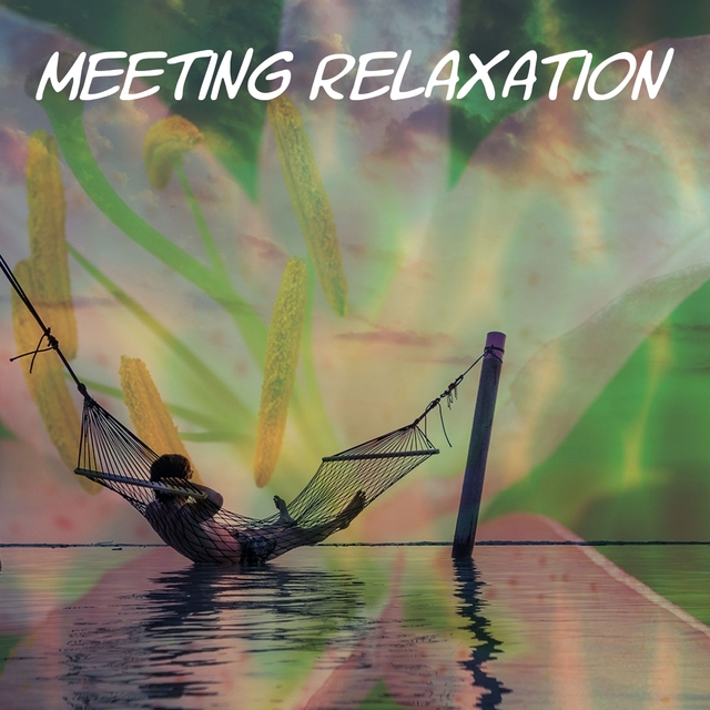 Couverture de Meeting Relaxation