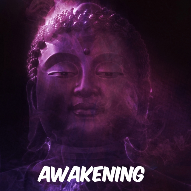 Couverture de Awakening