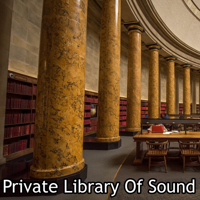 Couverture de Private Library Of Sound