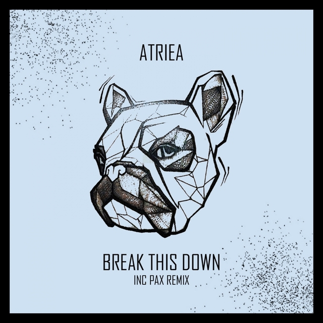 Couverture de Break This Down