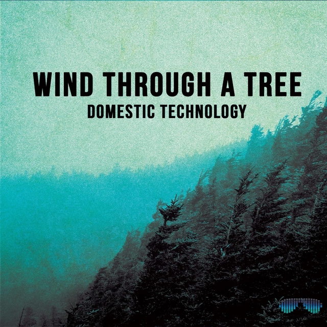 Couverture de Wind Through a Tree
