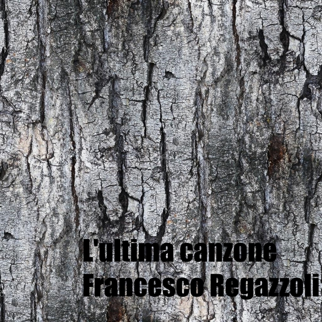 Couverture de L'ultima canzone