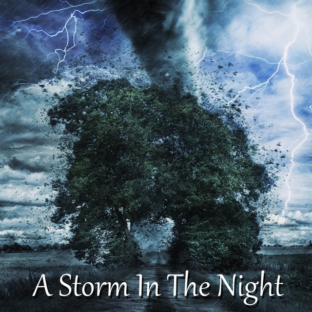 Couverture de A Storm In The Night