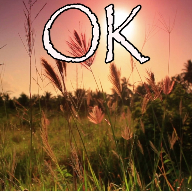 OK (Okay) - Tribute to Robin Schulz and James Blunt