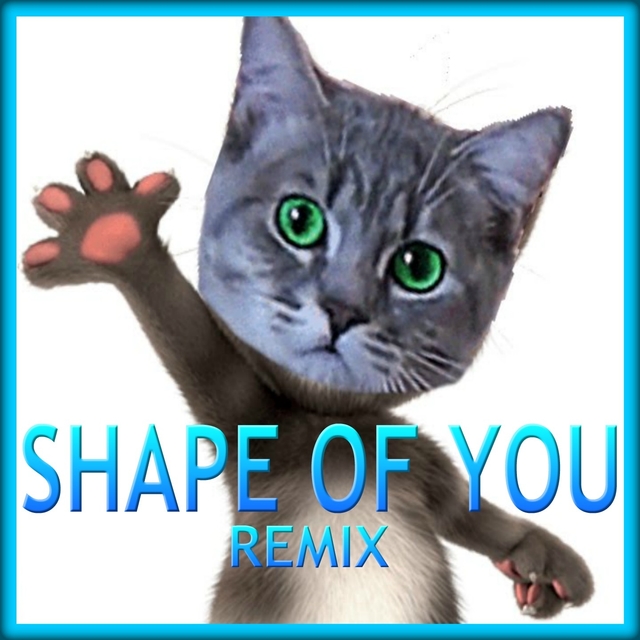 Talking Tom Shape of You