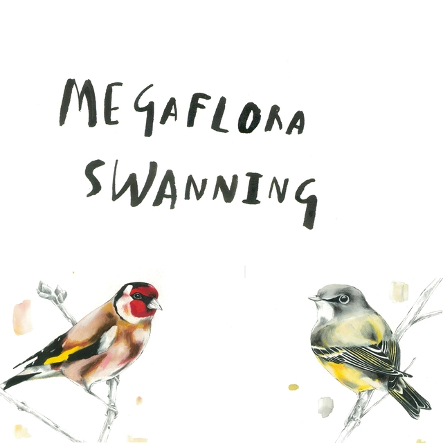 Swanning / Megaflora Split