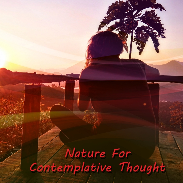 Couverture de Nature For Contemplative Thought