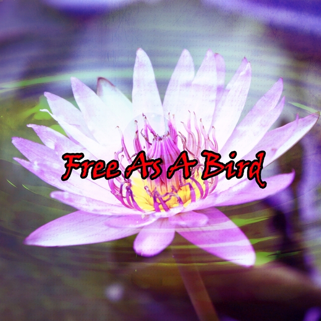 Free As A Bird