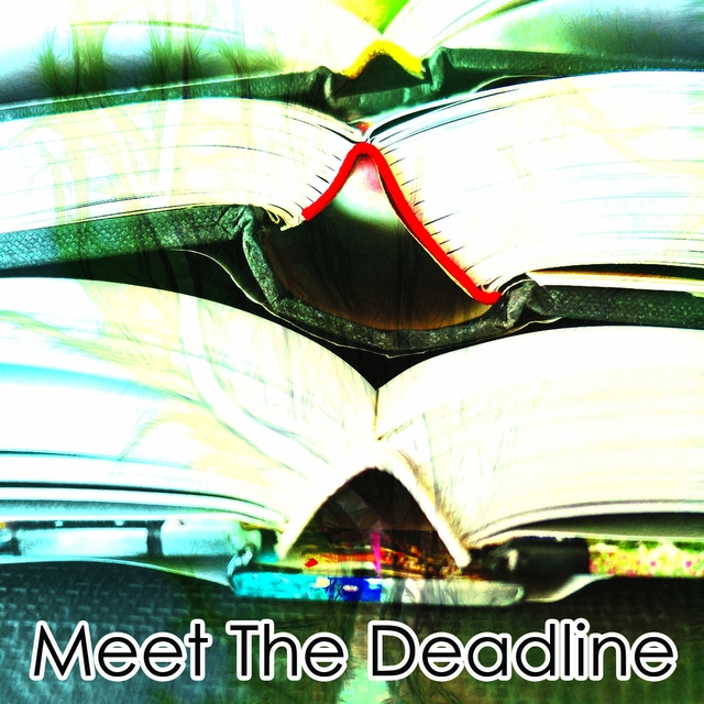 Couverture de Meet The Deadline