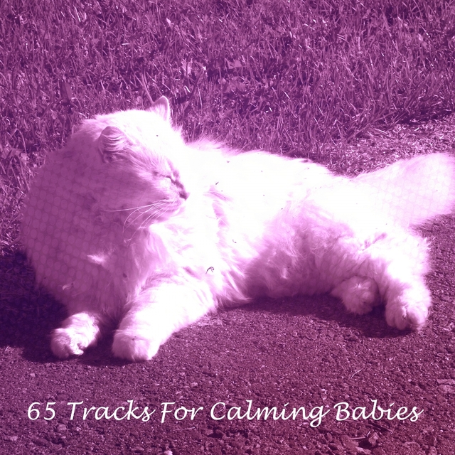 Couverture de 65 Tracks For Calming Babies