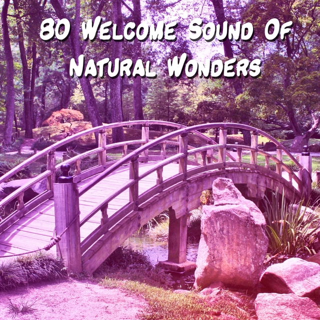 Couverture de 80 Welcome Sound Of Natural Wonders