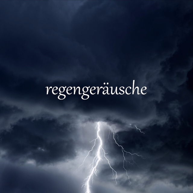 Couverture de Regengeräusche