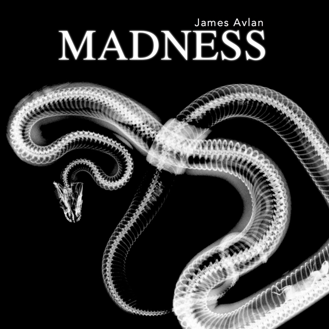 Couverture de Madness