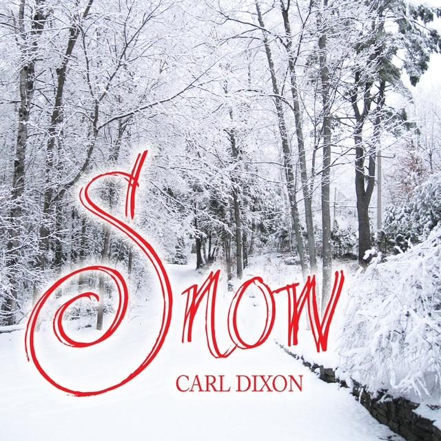 Couverture de Snow