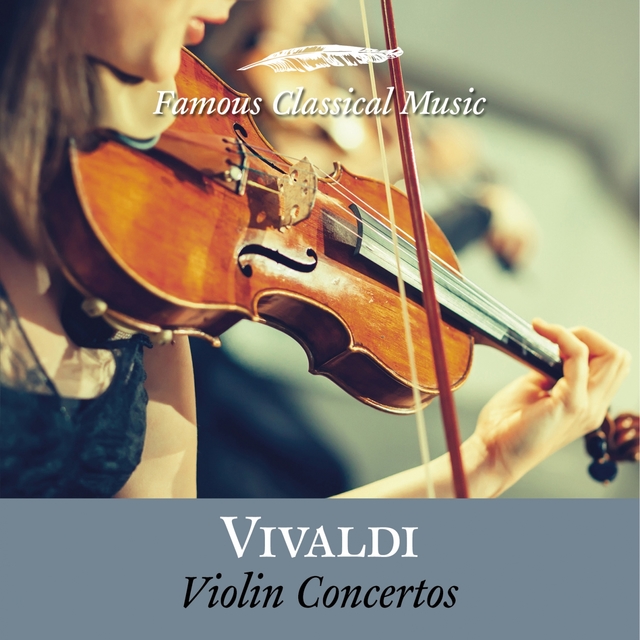 Couverture de Violin Concertos