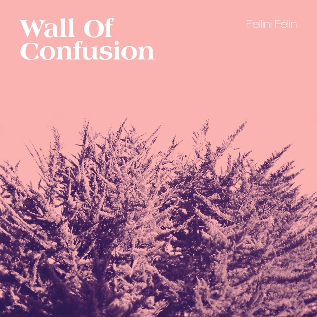 Couverture de Wall of Confusion