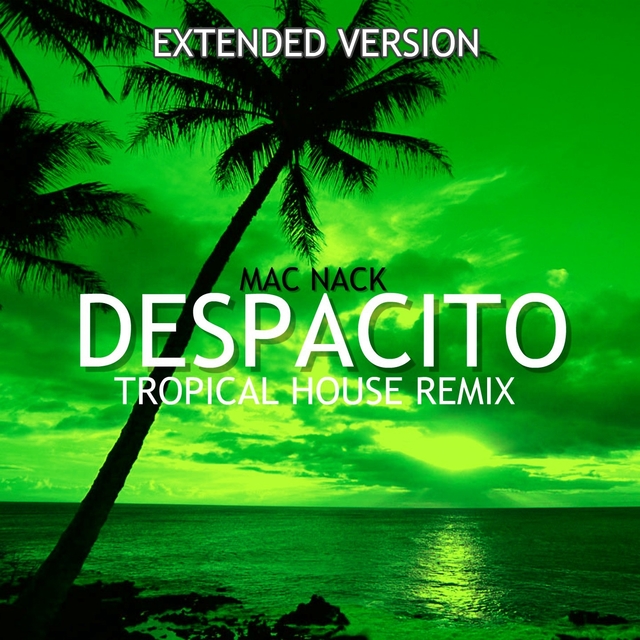 Couverture de Despacito