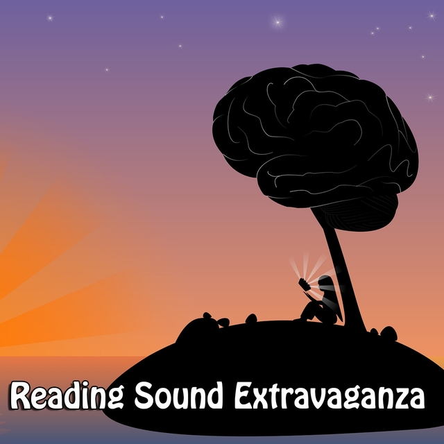 Couverture de Reading Sound Extravaganza