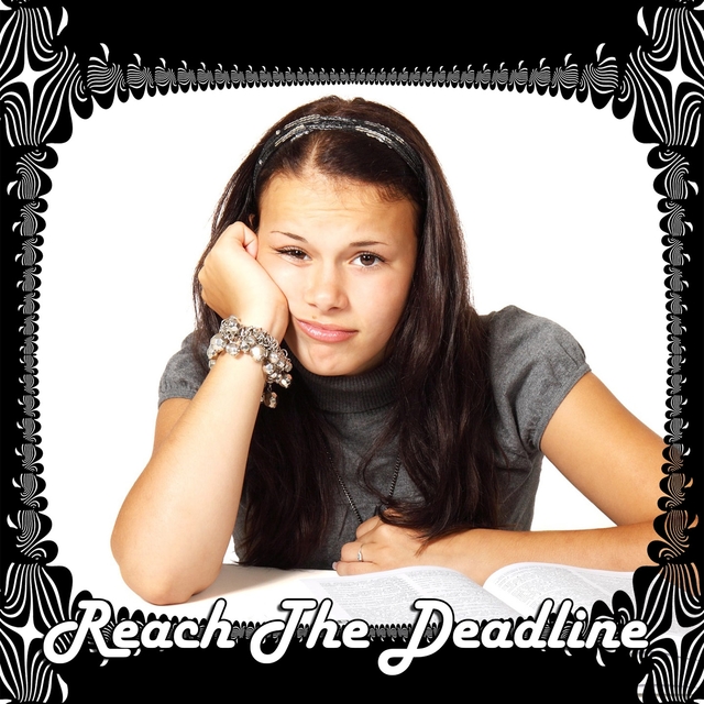 Couverture de Reach The Deadline