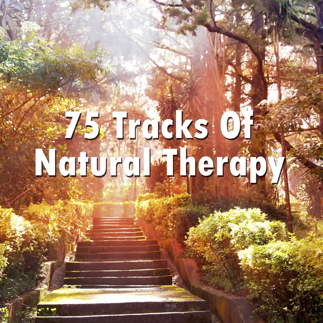 Couverture de 75 Tracks Of Natural Therapy