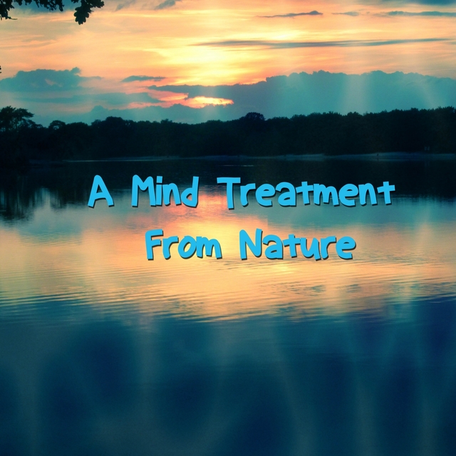 Couverture de A Mind Treatment From Nature