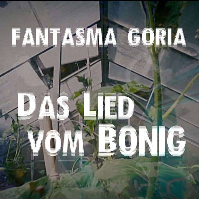 Couverture de Das Lied vom Bonig